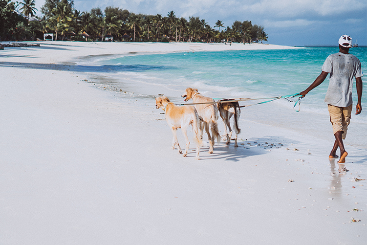 Beach Holiday Zanzibar